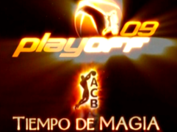 2008-2009 LIGA ACB PLAYOFFS 004